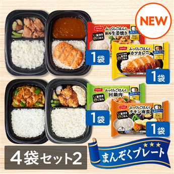 まんぞくプレート お手軽4袋セット②（豚肉生姜焼き・カツカレー・回鍋肉・チキン南蛮 各1袋　計4袋）