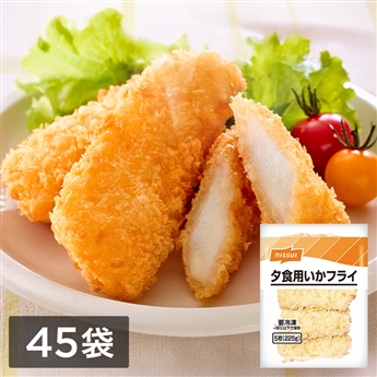 夕食にうれしい いかフライ　1ケース（5枚（225g）×45）