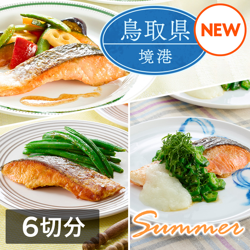ミールキット「境港サーモン 夏メニューセット」（6切分）レシピ付き（境港サーモン切身6切・きざみオクラ・国産大根おろし・いんげん・5色の彩りごろっと野菜ミックス各1袋）
