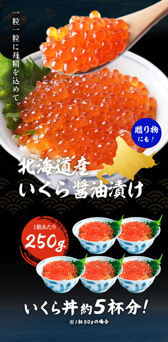 ニッスイの北海道産いくら醤油漬け。一粒一粒に丹精を込めて。便利な小分けタイプ、いくら丼約4回分。