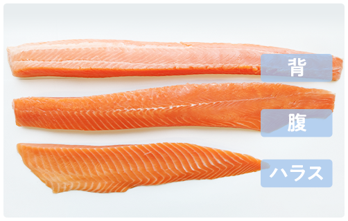 ニッスイの国産サーモン。岩手県で養殖するおいしいサーモントラウト。