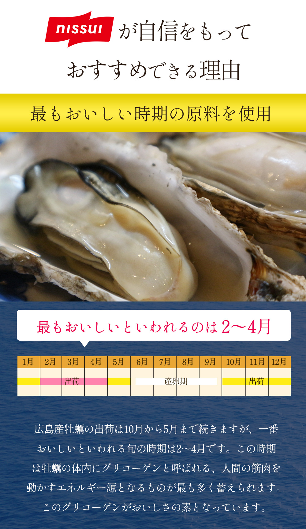 ニッスイが自信をもっておすすめできる理由。「最もおいしい時期の原料を使用」広島県産の牡蠣の出荷は10月から5月まで続きますが、一番おいしいといわれる旬の時期は2～4月です。この時期は牡蠣の体内にグリコーゲンと呼ばれる、人間の筋肉を動かすエネルギー源となるものが最も多く蓄えられています。