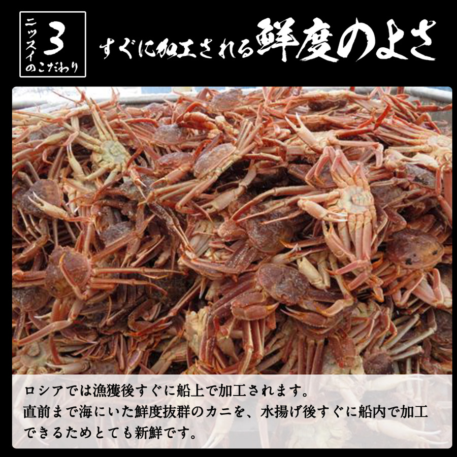ニッスイのこだわり03。漁獲後すぐに船上で加工しています。直前まで海にいた鮮度抜群のカニを、水揚げ後すぎに船内で加工できるためとても新鮮です。