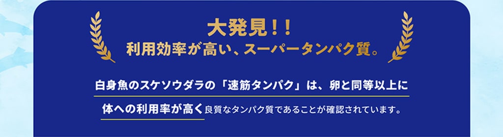 大発見！！利用効率が高い、スーパータンパク質。