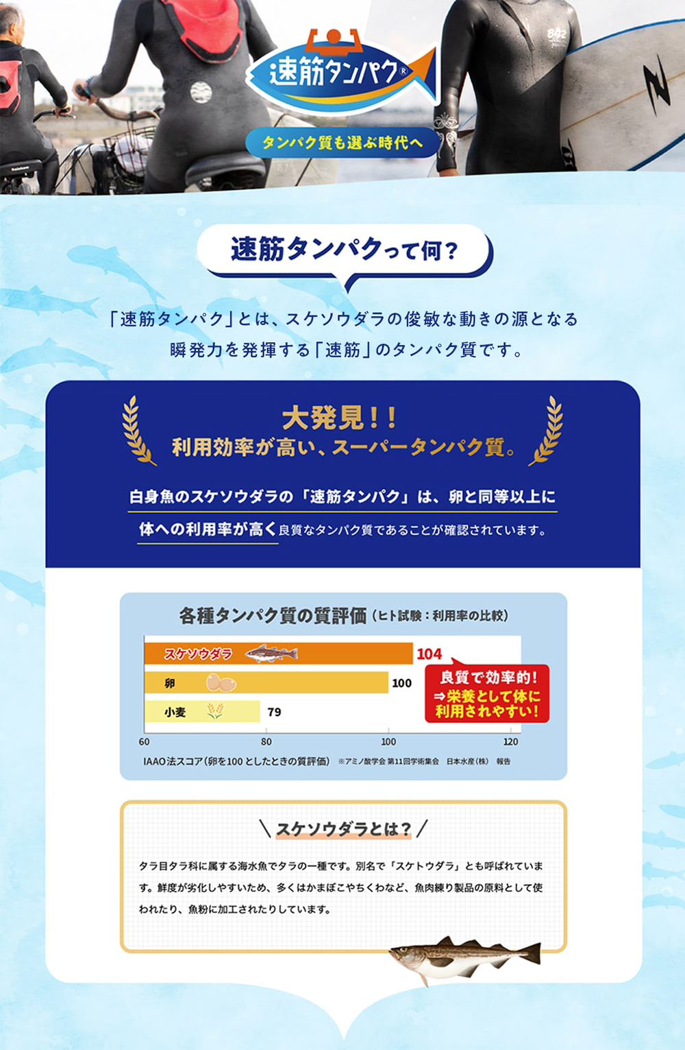 速筋タンパク(R) タンパク質も選ぶ時代へ。速筋タンパクとは？「速筋タンパク」とは、スケトウダラの俊敏な動きの源となる瞬発力を発揮する「速筋」のタンパク質です。