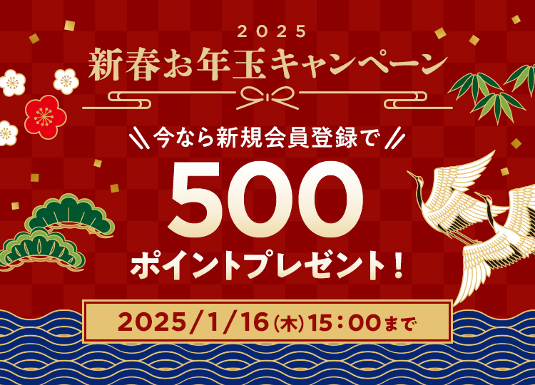 新春お年玉キャンペーン　新規会員登録で500ポイントプレゼント