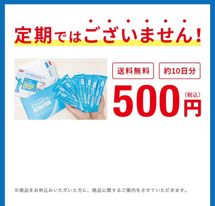 定期ではございません！送料無料 約10日分 500円（税込）